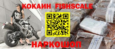 гидра Камень-на-Оби