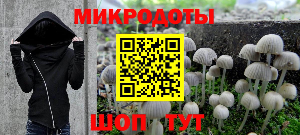 Лысьва  Псилоцибиновые грибы мицелий  Вход с VPN 