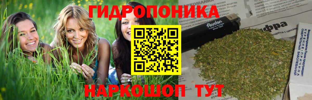 Бошки марихуана сатива  Шишки марихуана сатива  Каннабис конопля  Вход с VPN  Лысьва  Шишки марихуана сатива 